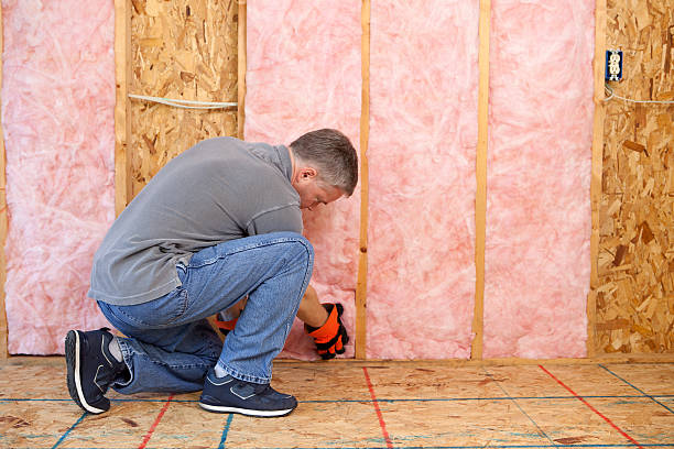 Best Insulation Maintenance and Repair in Anthony, NM